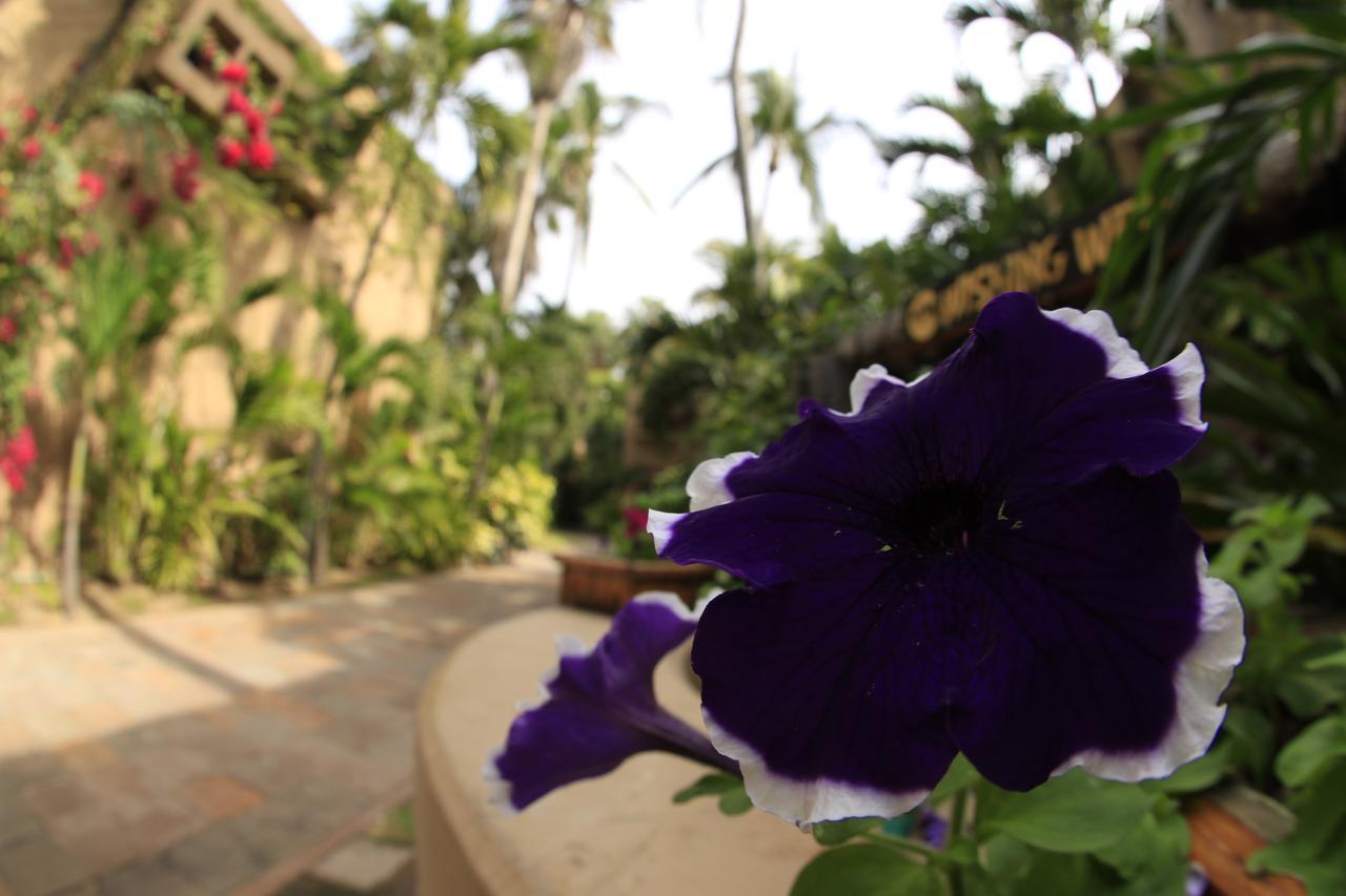 Villas El Rancho Green Resort Mazatlán Extérieur photo
